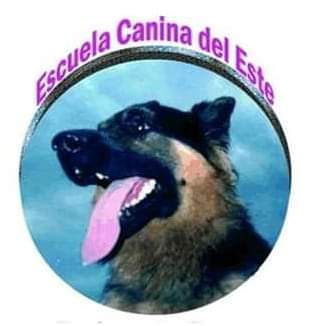enriquecenoz.com.uy